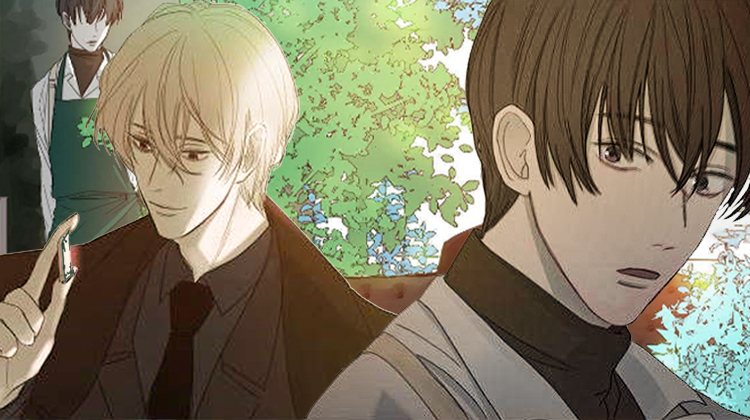 冰凉的居所_banner