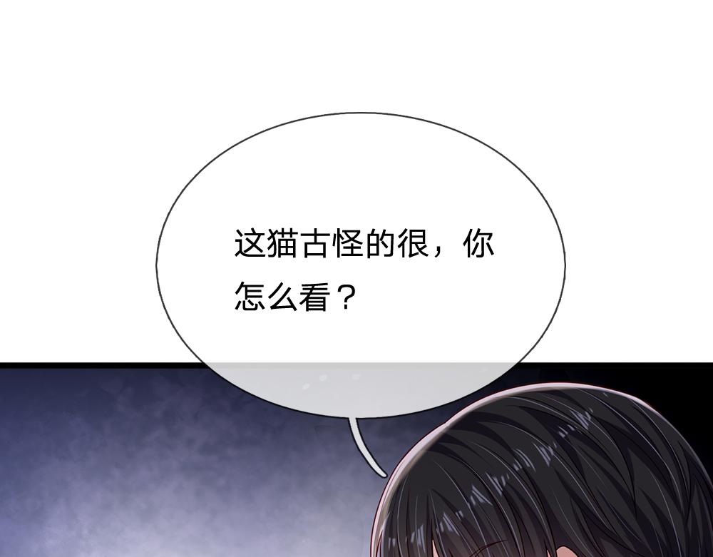 第155话 被光选中的喵1