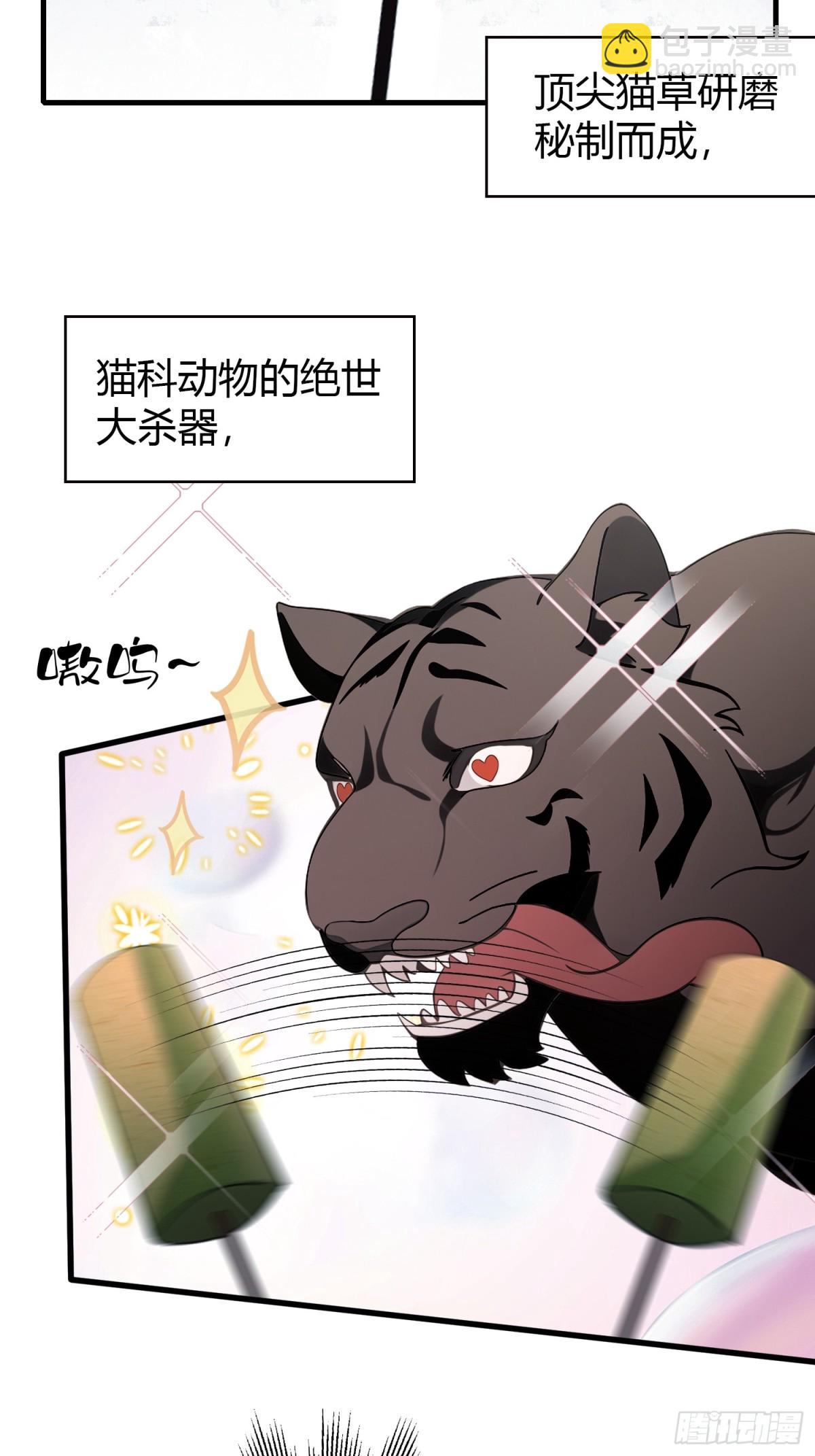 第102话老虎也是猫？2