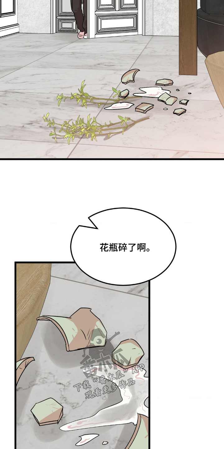 第27章：花瓶碎了9