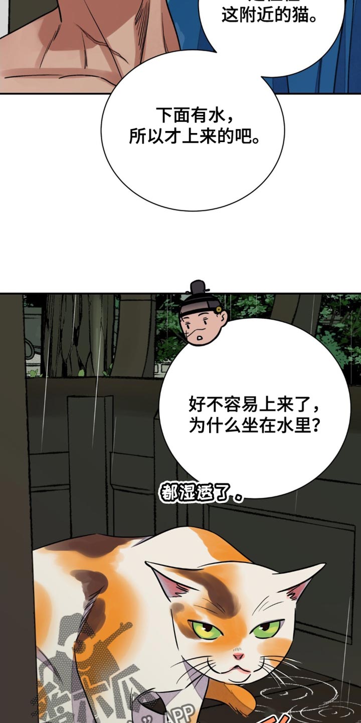 第118话4