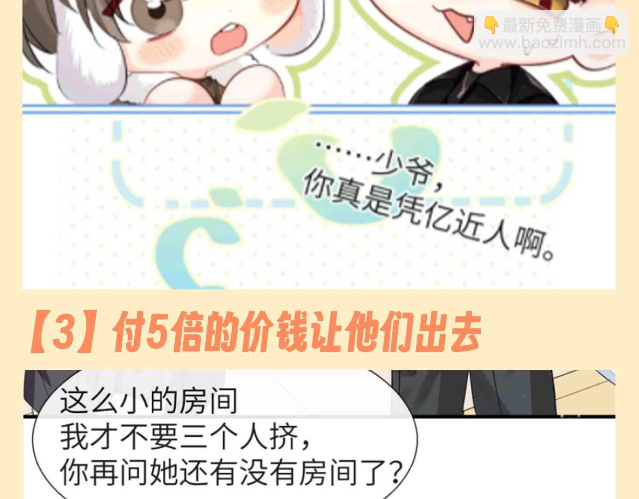 第140期搞点事：兔球的精明中带着一丝愚蠢？！8