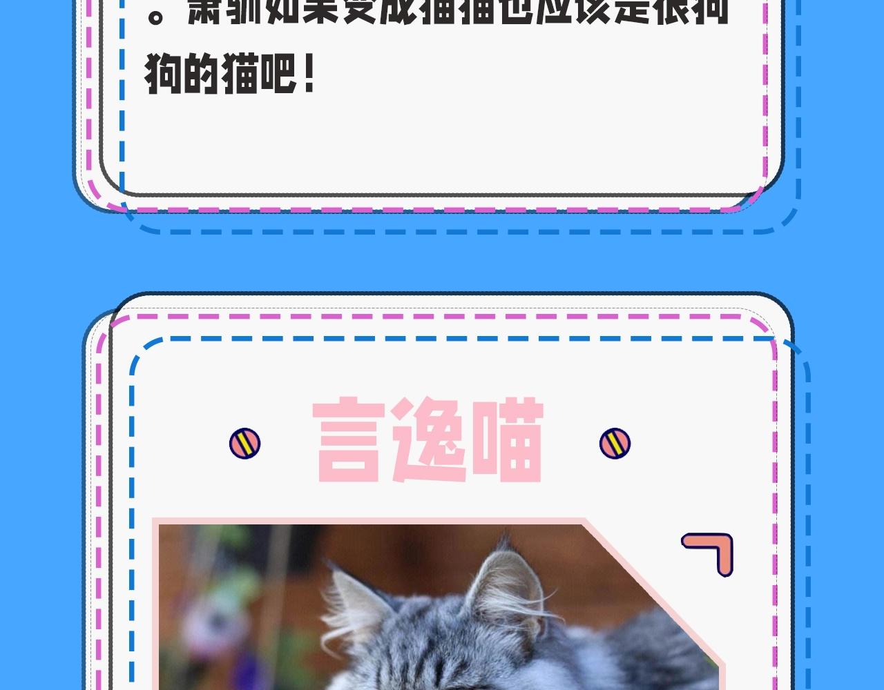 第43期人鱼陷落的主角都是什么品种的猫（日更中）2