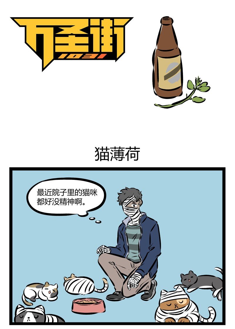 第134话猫咪总是在你停止找它的时候出现。0