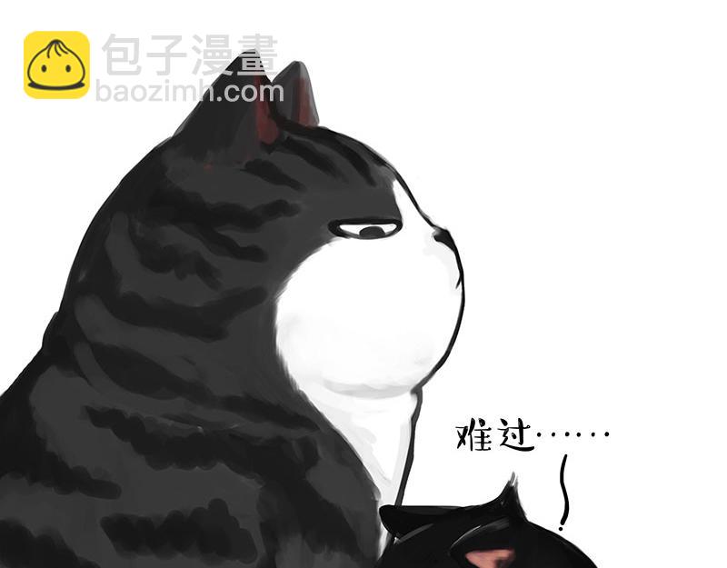 第349话养只猫吧6