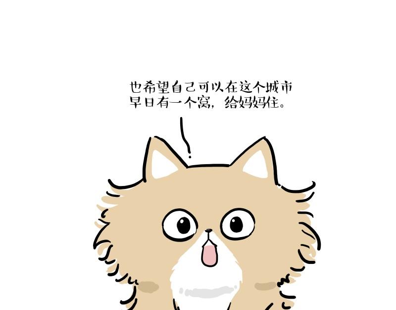 第424话话痨小猫2