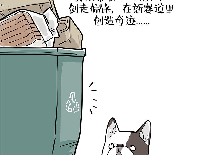 第365话“神犬”巴扎黑7