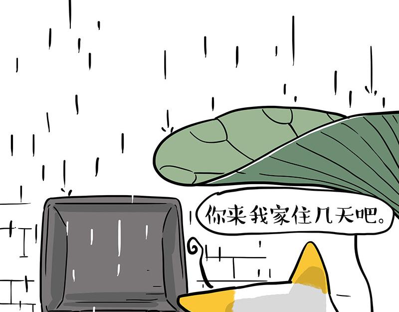 第364话万一呢？7