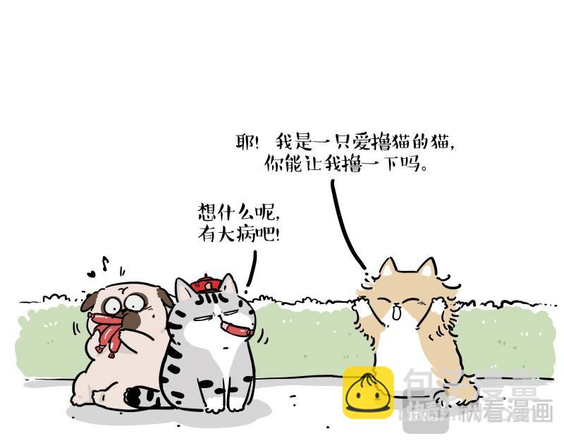 第424话话痨小猫2