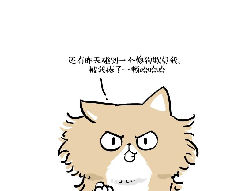 第424话话痨小猫4