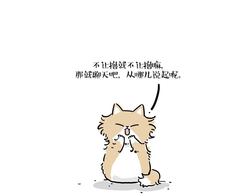 第424话话痨小猫4