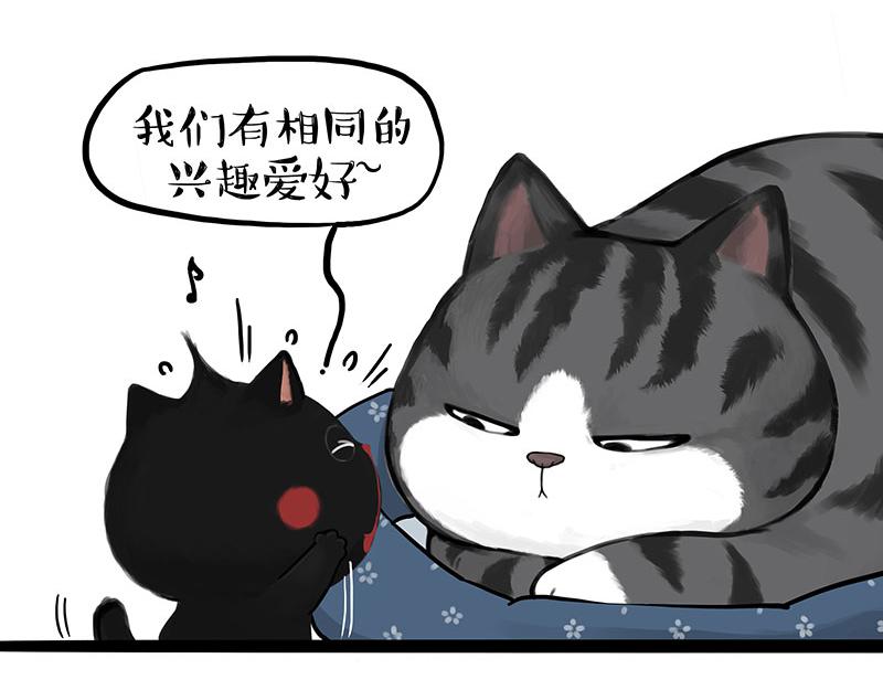 第377话谢谢小猫咪5