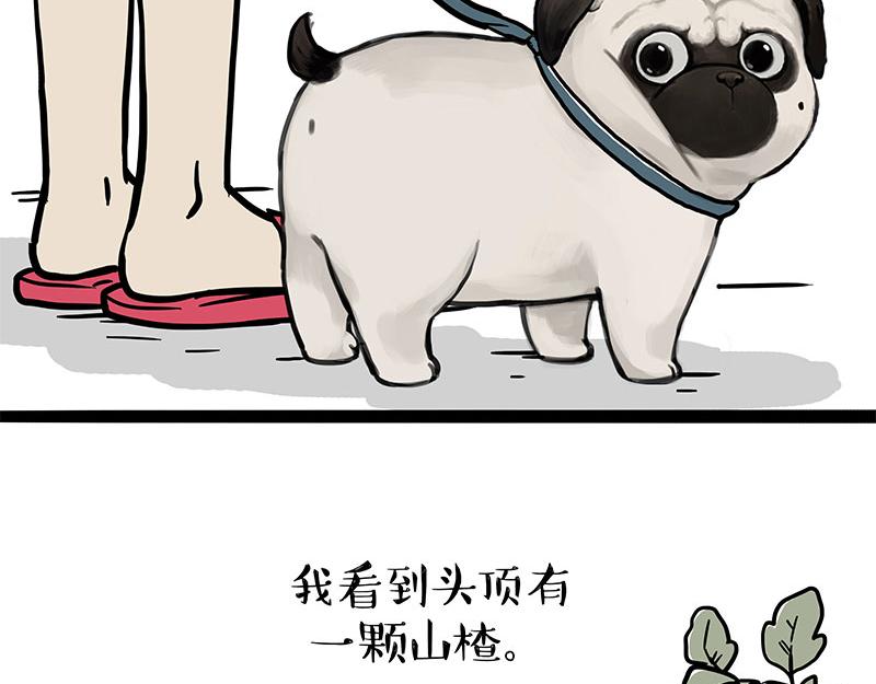 第365话“神犬”巴扎黑2