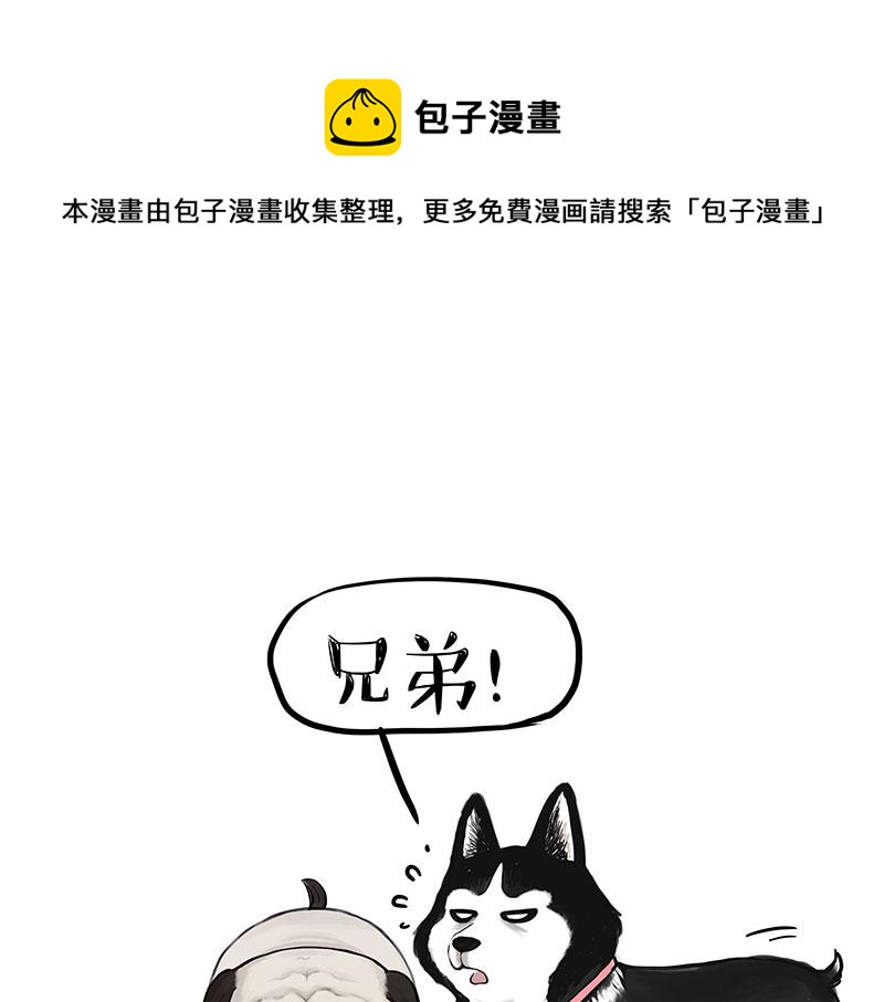 第358话都是错觉0