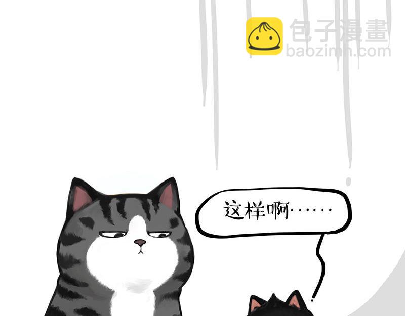 第359话猫洛芬8