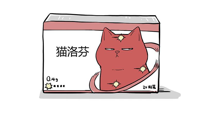 第359话猫洛芬1