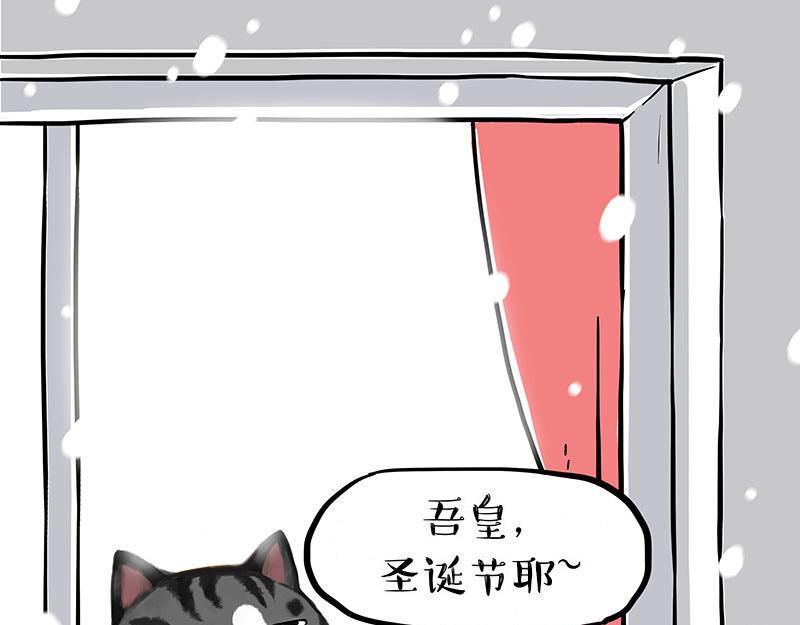 第359话猫洛芬3