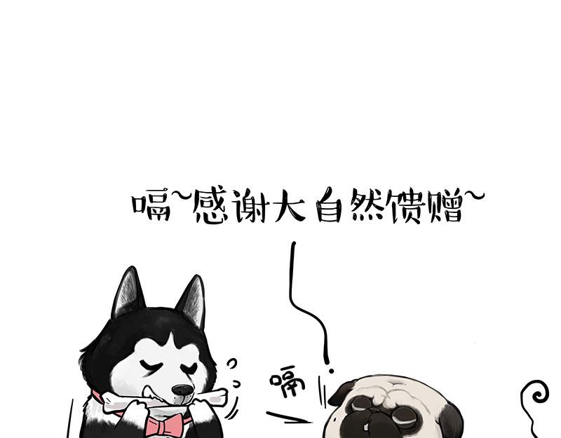 第373话都是因为爱4