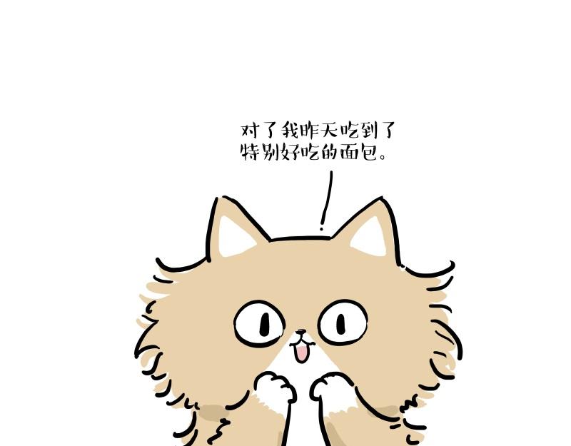 第424话话痨小猫2