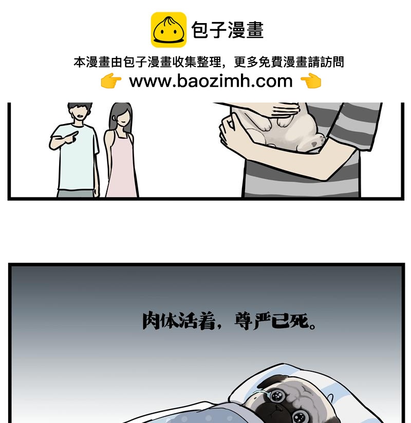 第423话卡沙不拦卡8