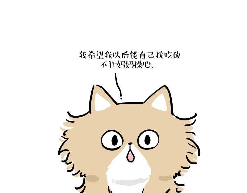 第424话话痨小猫0