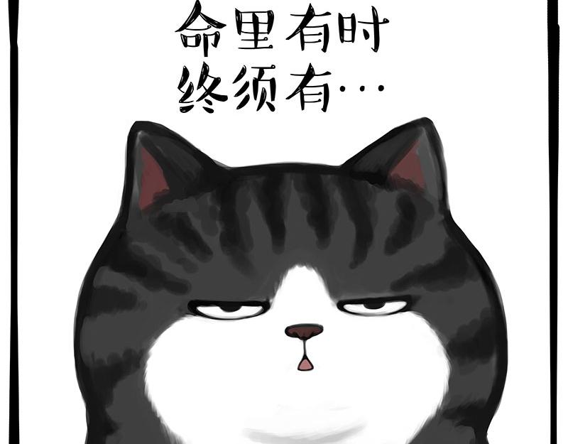 第349话养只猫吧8