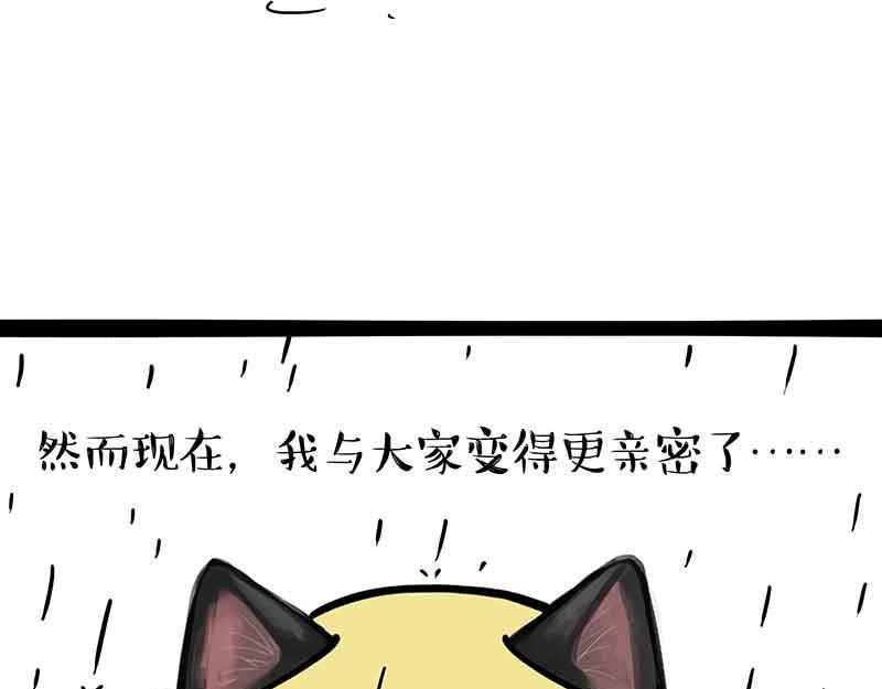 第359话猫洛芬2