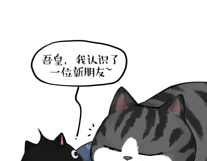 第377话谢谢小猫咪3