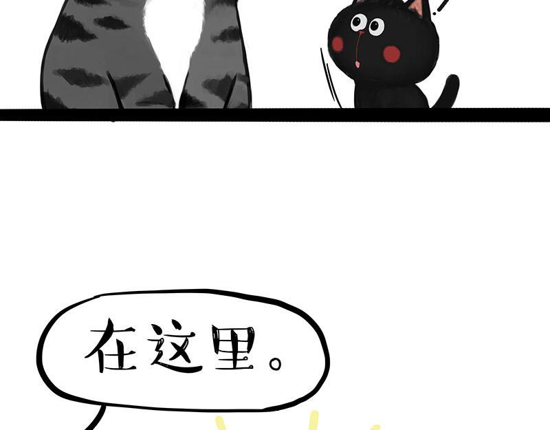 第359话猫洛芬0