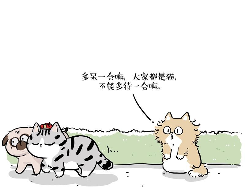 第424话话痨小猫8