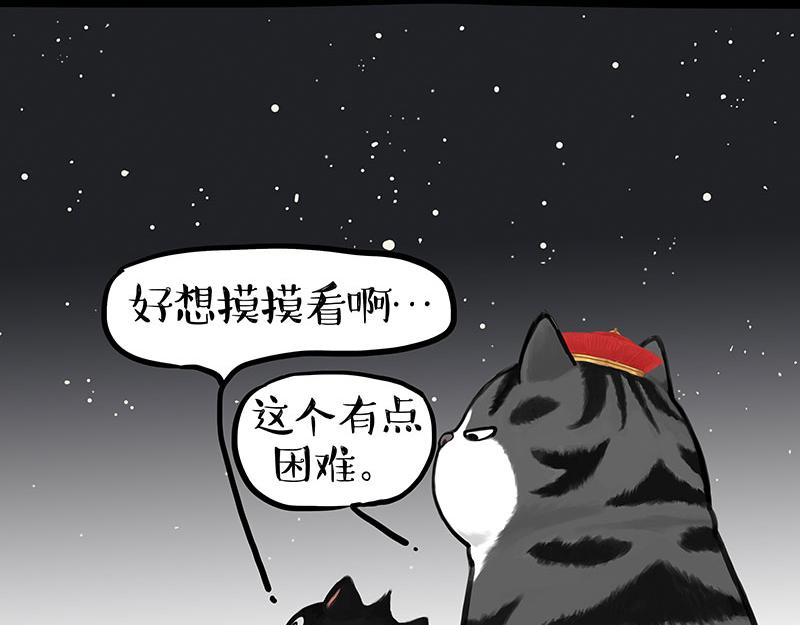 第346话温柔都给你9