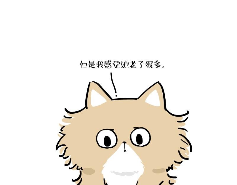 第424话话痨小猫8