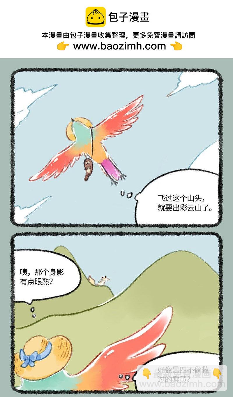 806治愈花椒1