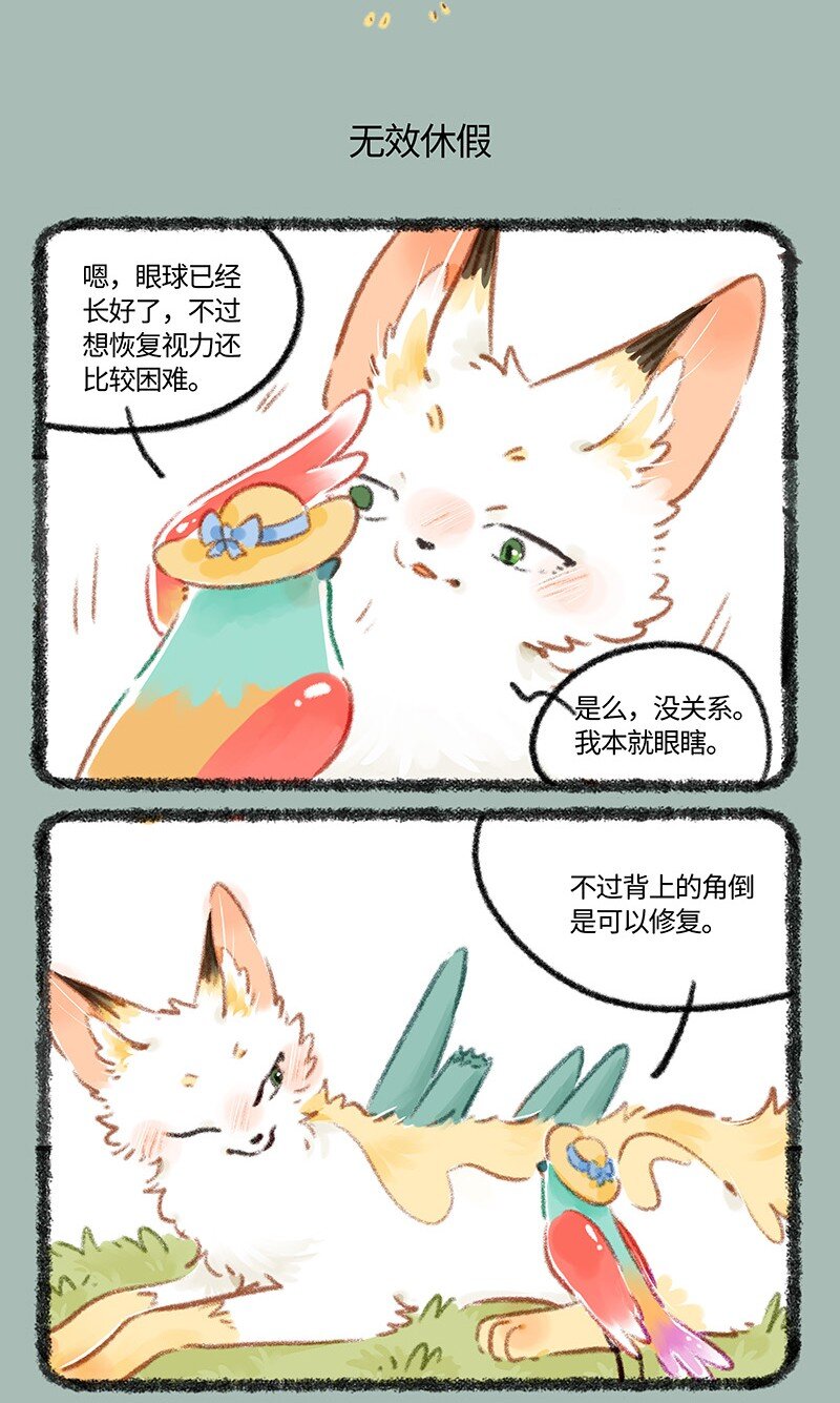 806治愈花椒4