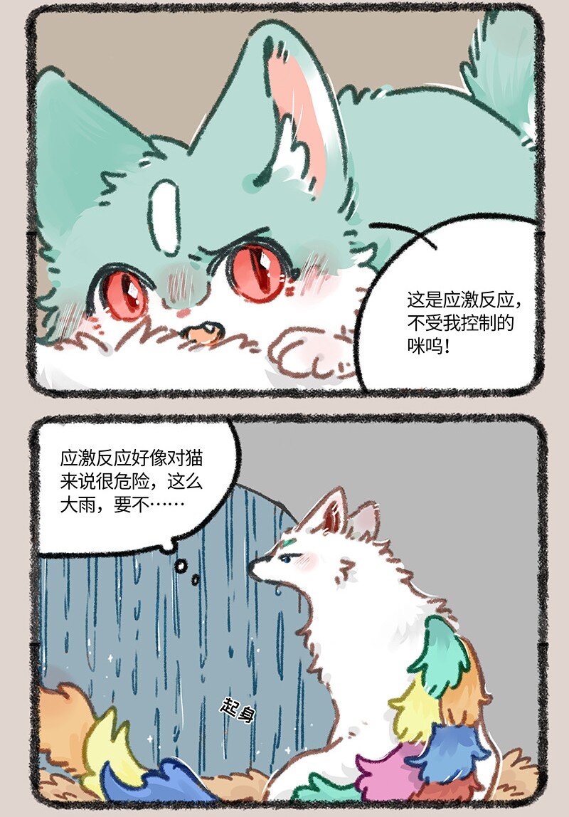 894雨的记忆5