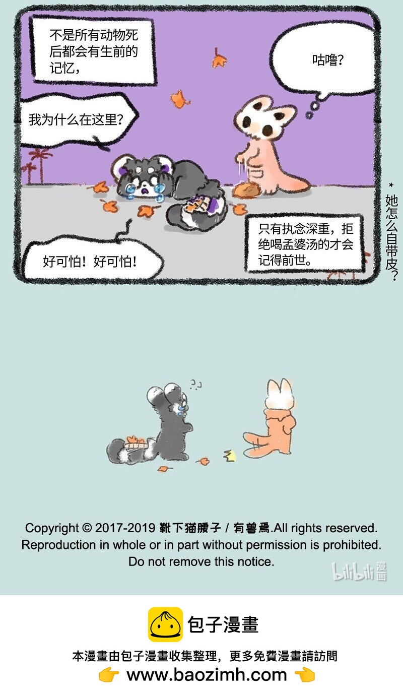 257骷髅猫的熟人6