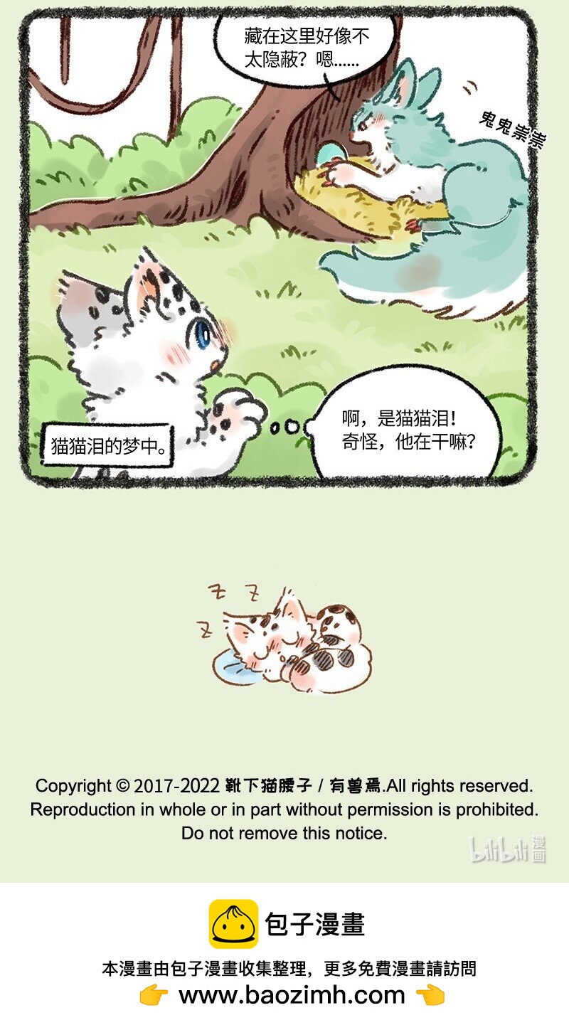 664这种猫精埋了吧6