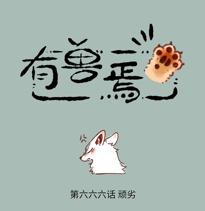 666自作自受猫猫泪0