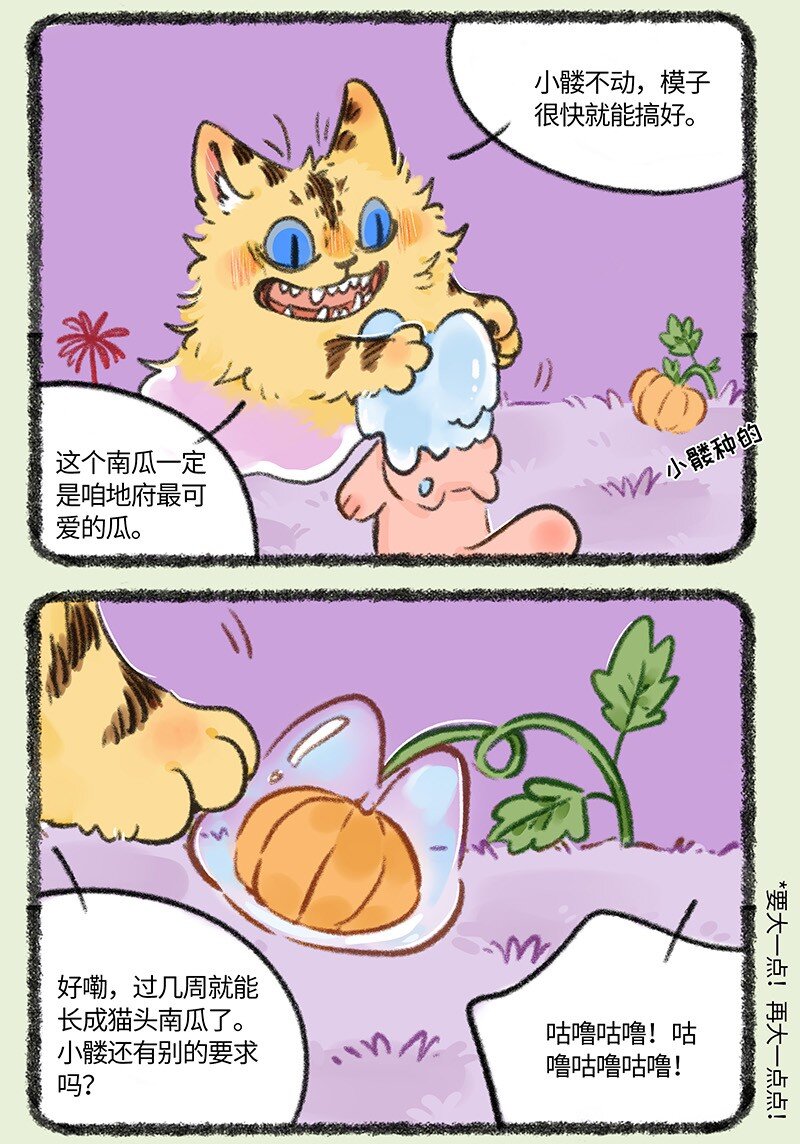 825猫头南瓜2