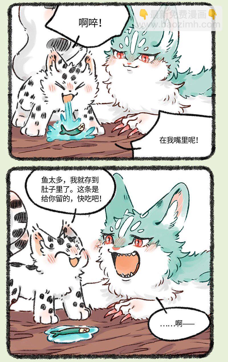 618饥饿的猫猫类5