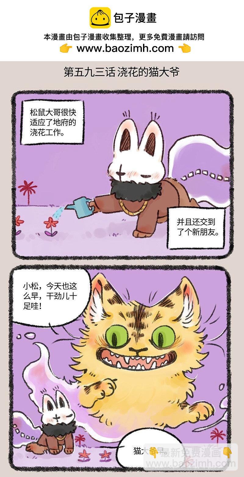 593浇花的猫大爷1