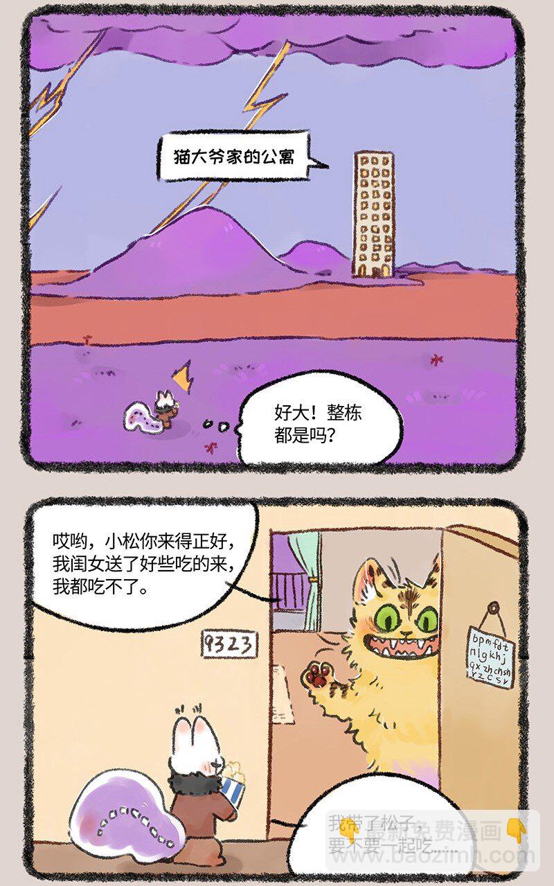 593浇花的猫大爷5