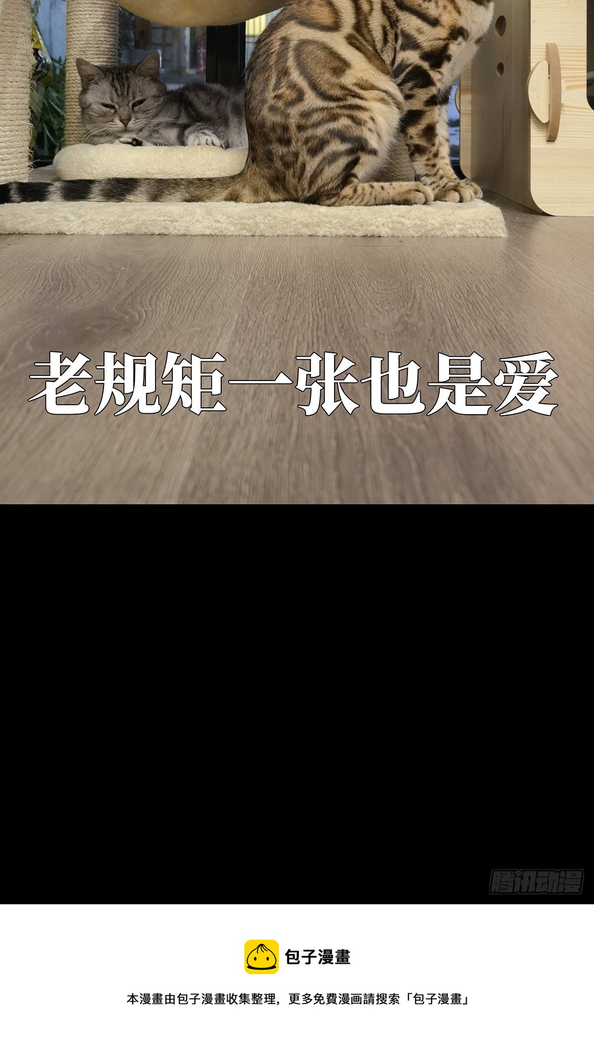 第一百六十三章/会议下4