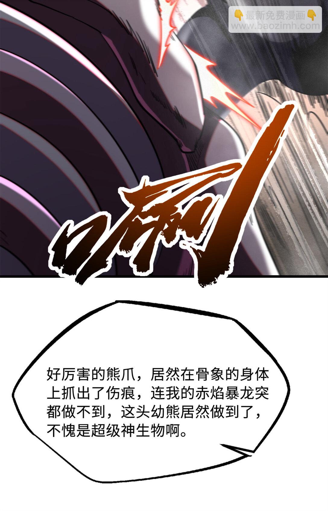 240骨象之围2