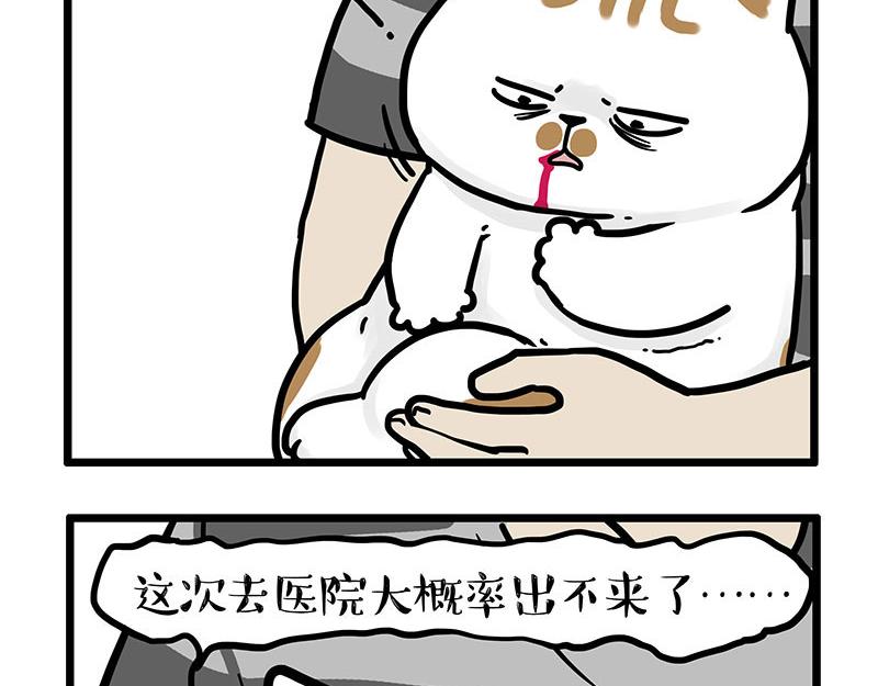 第440话不要开这种玩笑4