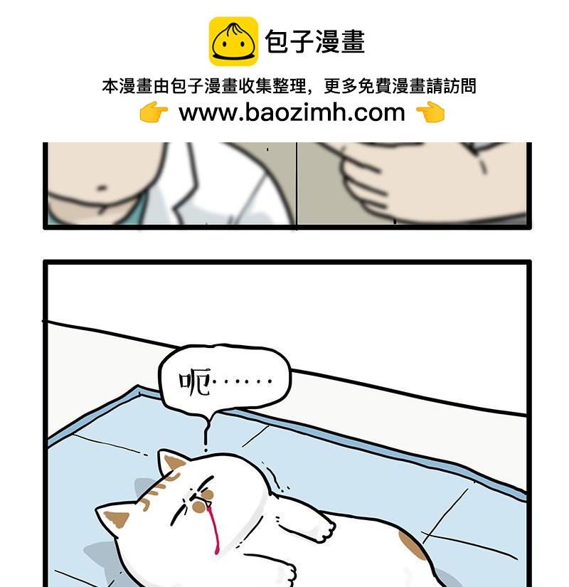 第441话不要出卖老大！1