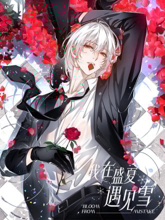 我在盛夏遇见雪