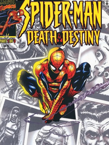 蜘蛛侠：死亡与宿命