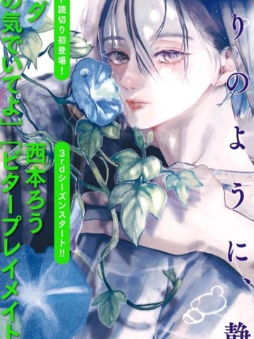 我的Blue Cat