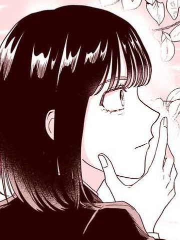 倾慕骄阳